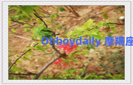 Ohboydaily 摩羯座